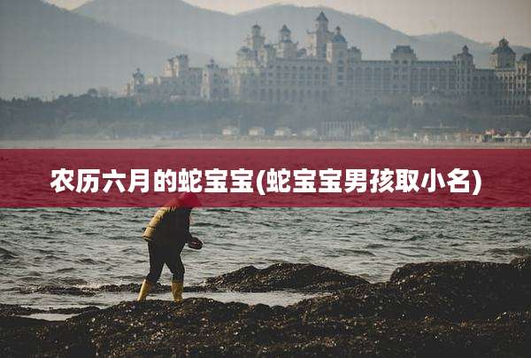 农历六月的蛇宝宝(蛇宝宝男孩取小名)