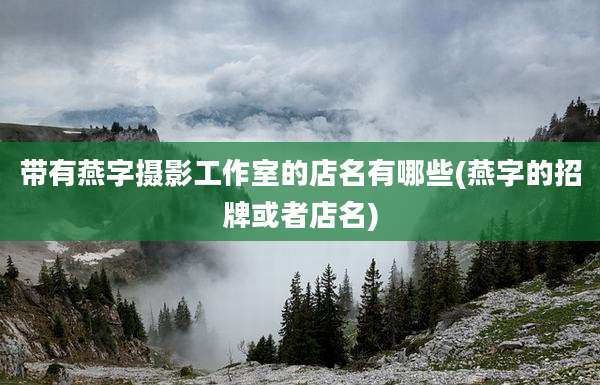 带有燕字摄影工作室的店名有哪些(燕字的招牌或者店名)