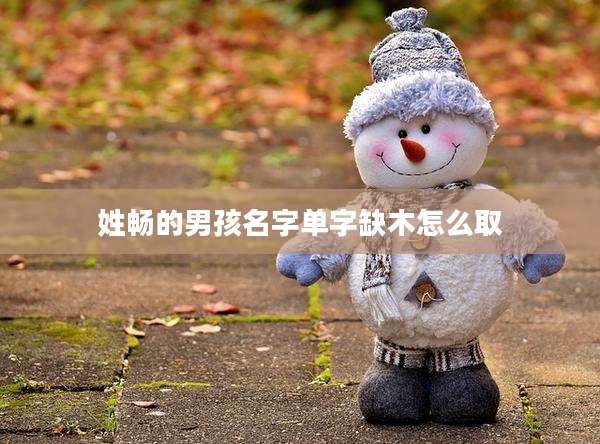 姓畅的男孩名字单字缺木怎么取