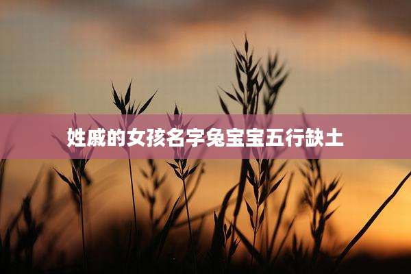姓戚的女孩名字兔宝宝五行缺土