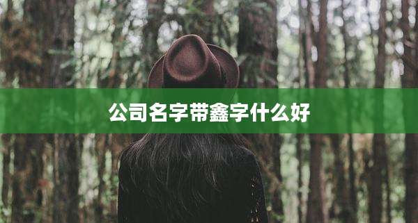公司名字带鑫字什么好