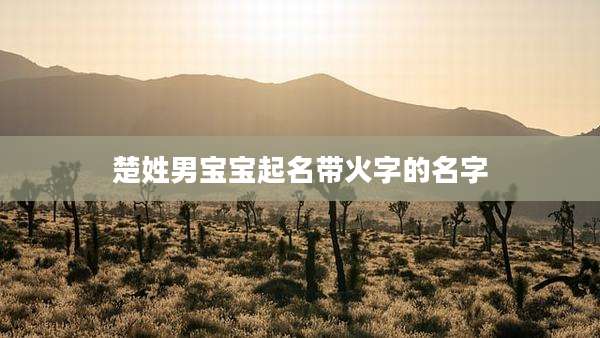 楚姓男宝宝起名带火字的名字