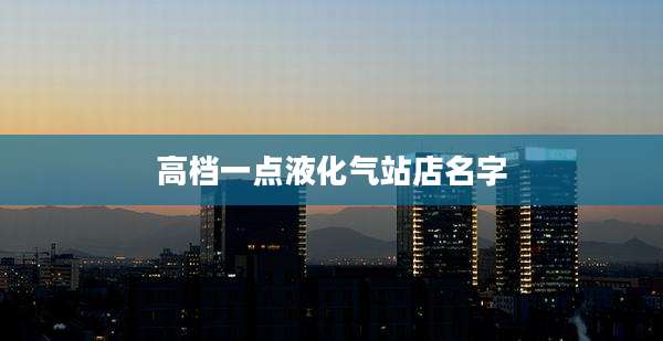 高档一点液化气站店名字