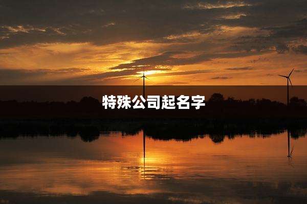 特殊公司起名字