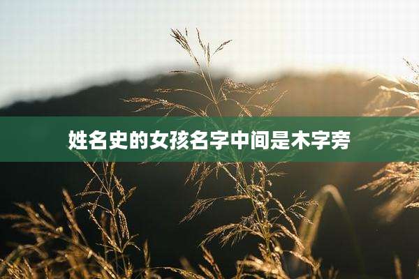 姓名史的女孩名字中间是木字旁