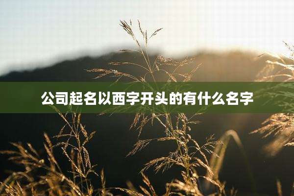 公司起名以西字开头的有什么名字