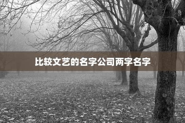 比较文艺的名字公司两字名字