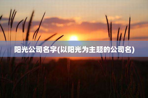 阳光公司名字(以阳光为主题的公司名)