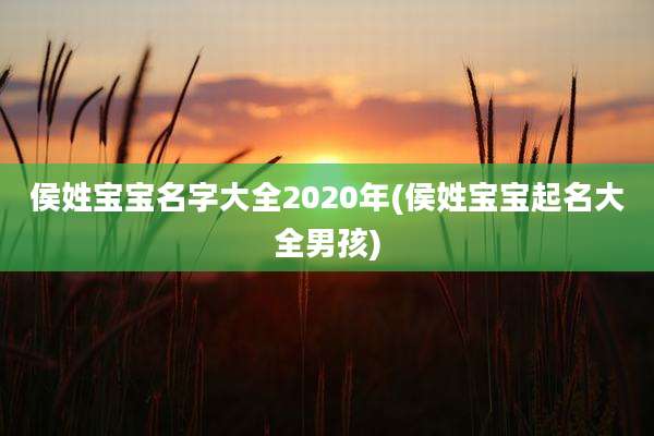 侯姓宝宝名字大全2020年(侯姓宝宝起名大全男孩)