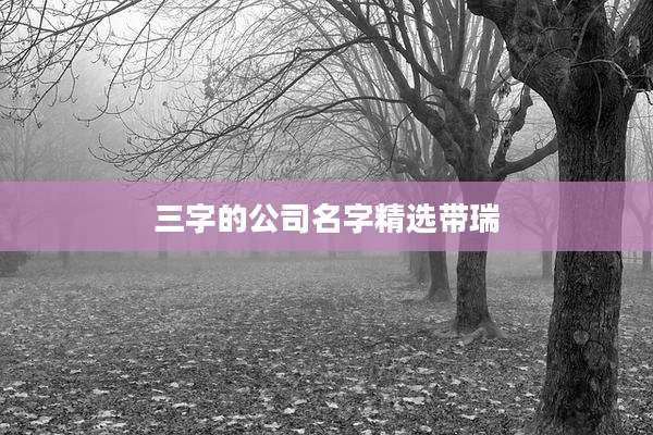 三字的公司名字精选带瑞