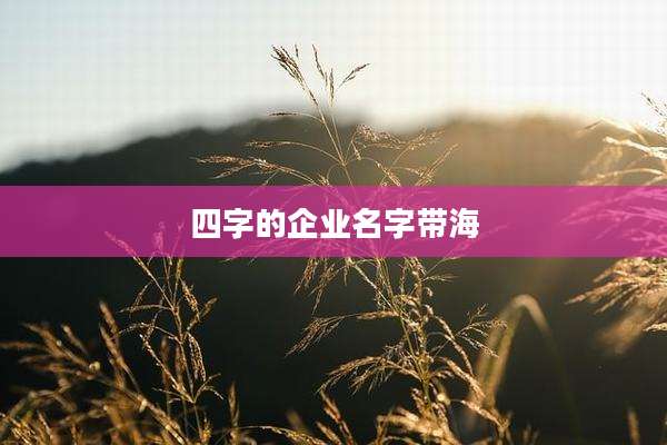 四字的企业名字带海