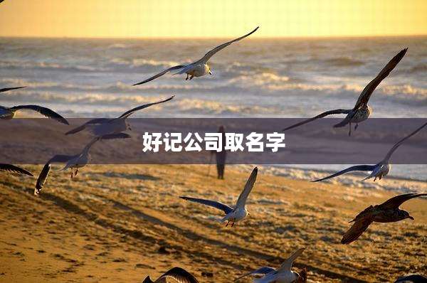 好记公司取名字