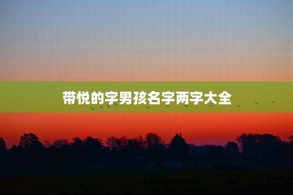 带悦的字男孩名字两字大全