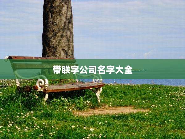 带联字公司名字大全