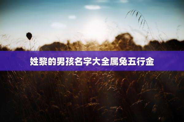 姓黎的男孩名字大全属兔五行金