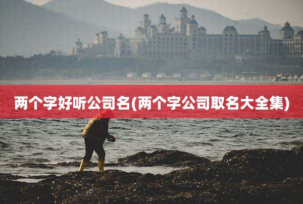 两个字好听公司名(两个字公司取名大全集)
