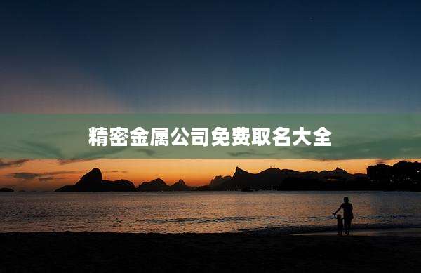 精密金属公司免费取名大全