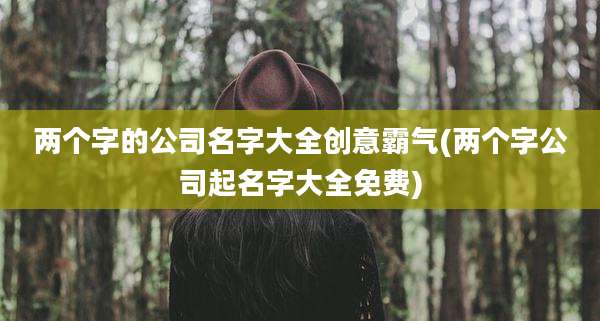 两个字的公司名字大全创意霸气(两个字公司起名字大全免费)