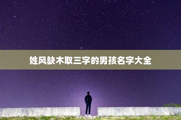 姓风缺木取三字的男孩名字大全