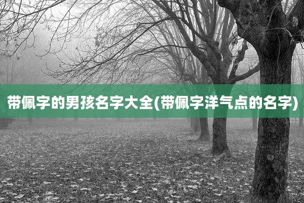 带佩字的男孩名字大全(带佩字洋气点的名字)