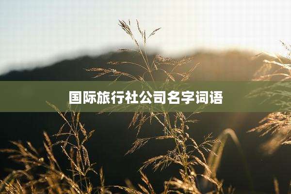 国际旅行社公司名字词语