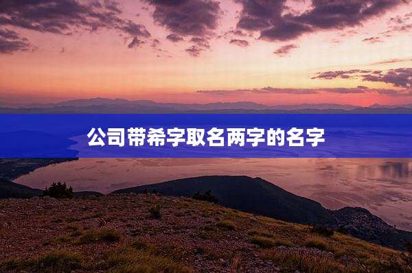 公司带希字取名两字的名字