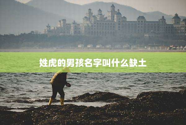 姓虎的男孩名字叫什么缺土