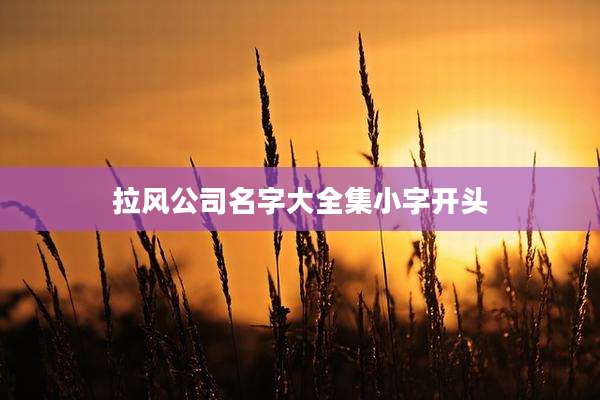 拉风公司名字大全集小字开头