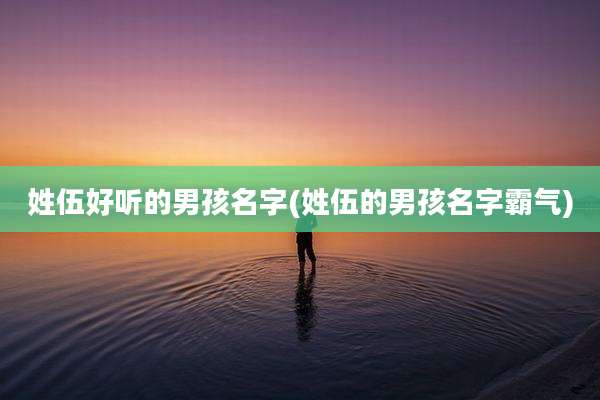 姓伍好听的男孩名字(姓伍的男孩名字霸气)