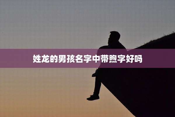 姓龙的男孩名字中带煦字好吗