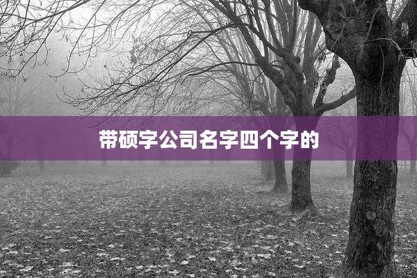 带硕字公司名字四个字的
