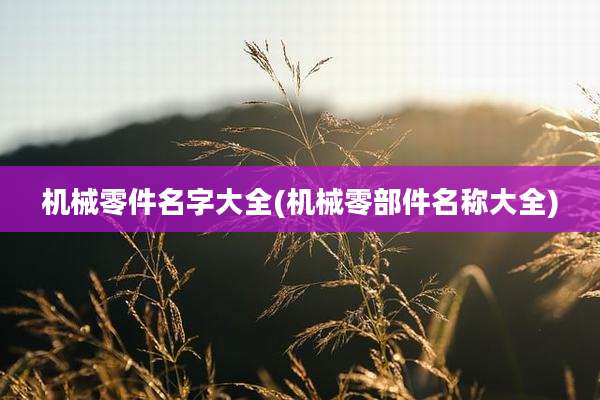 机械零件名字大全(机械零部件名称大全)