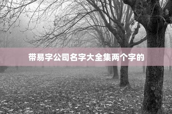 带易字公司名字大全集两个字的