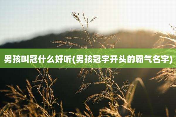 男孩叫冠什么好听(男孩冠字开头的霸气名字)