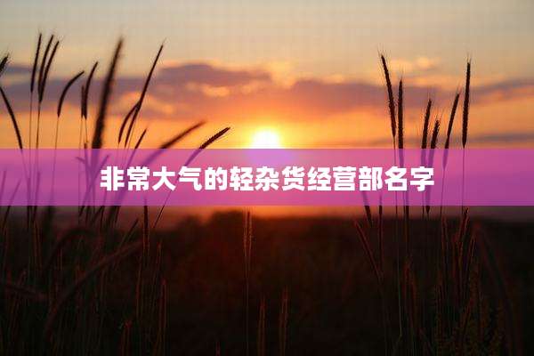 非常大气的轻杂货经营部名字