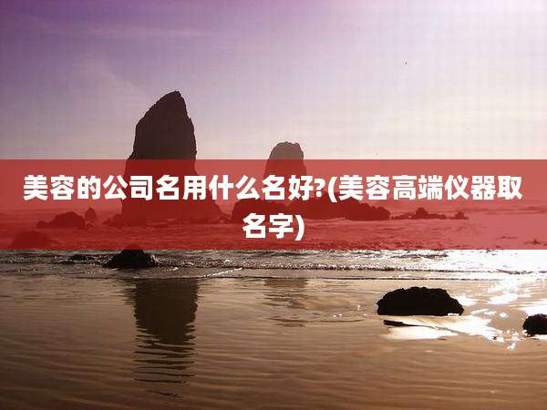 美容的公司名用什么名好?(美容高端仪器取名字)