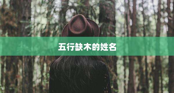 五行缺木的姓名