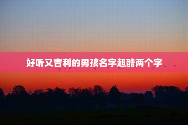 好听又吉利的男孩名字超酷两个字
