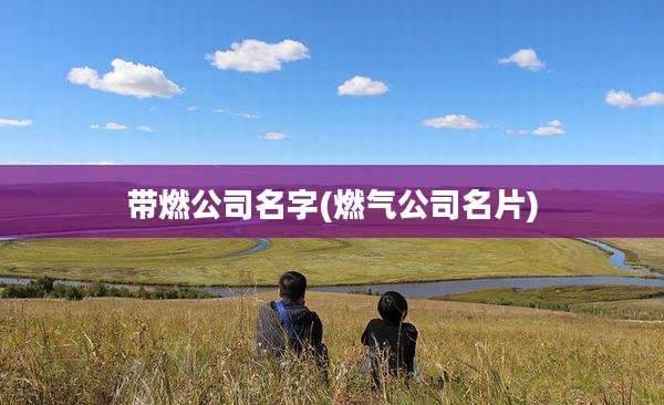 带燃公司名字(燃气公司名片)