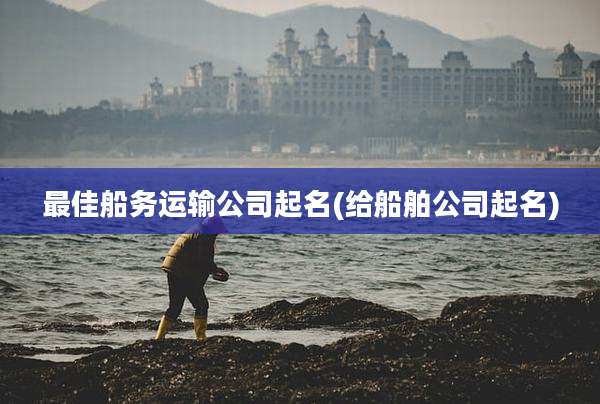 最佳船务运输公司起名(给船舶公司起名)
