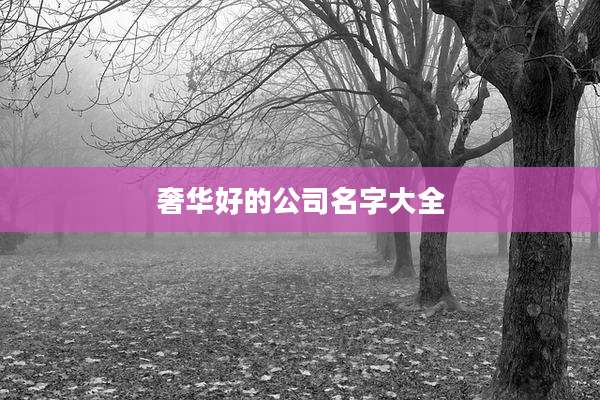 奢华好的公司名字大全