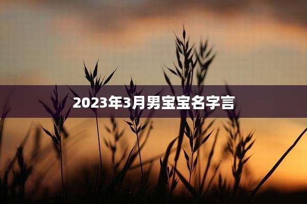 2023年3月男宝宝名字言