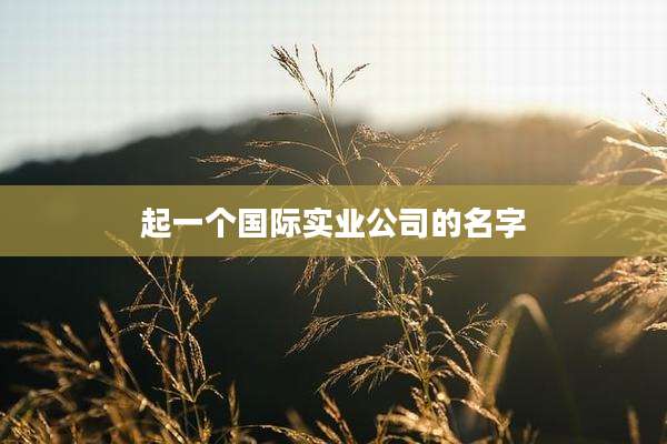 起一个国际实业公司的名字