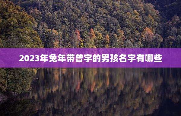 2023年兔年带曾字的男孩名字有哪些