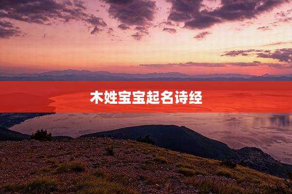 木姓宝宝起名诗经