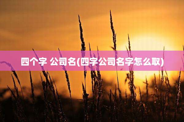 四个字 公司名(四字公司名字怎么取)