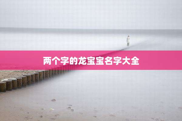 两个字的龙宝宝名字大全