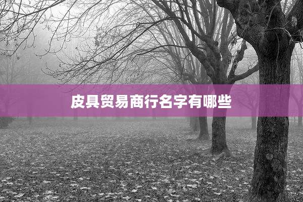 皮具贸易商行名字有哪些