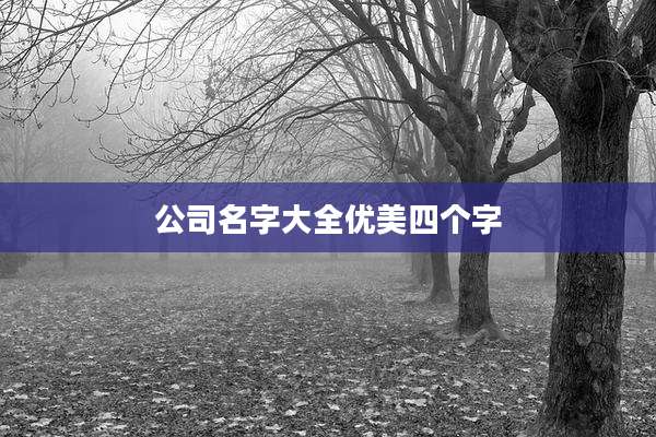 公司名字大全优美四个字