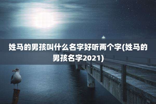 姓马的男孩叫什么名字好听两个字(姓马的男孩名字2021)